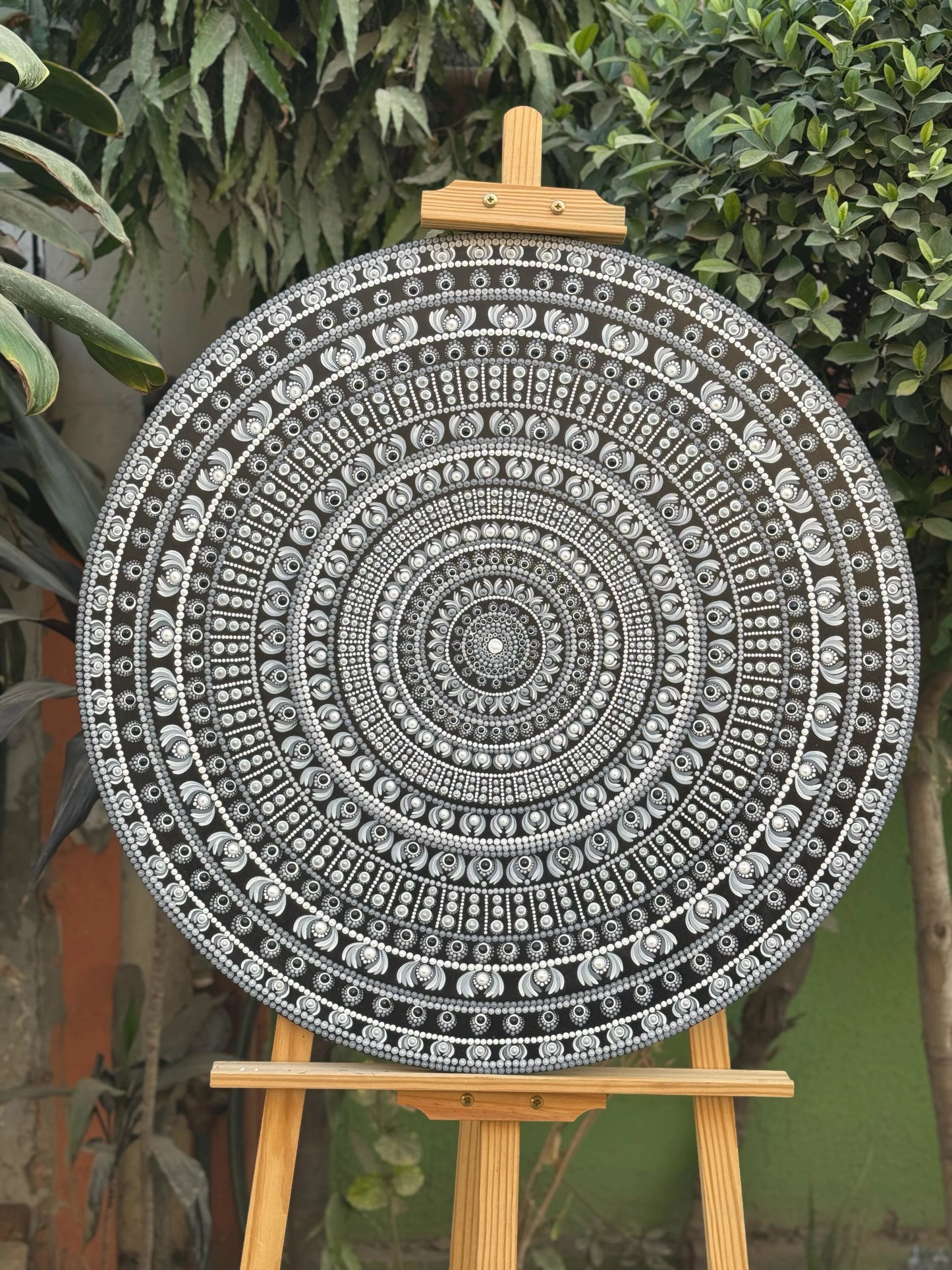 Moon Light Dream 30"