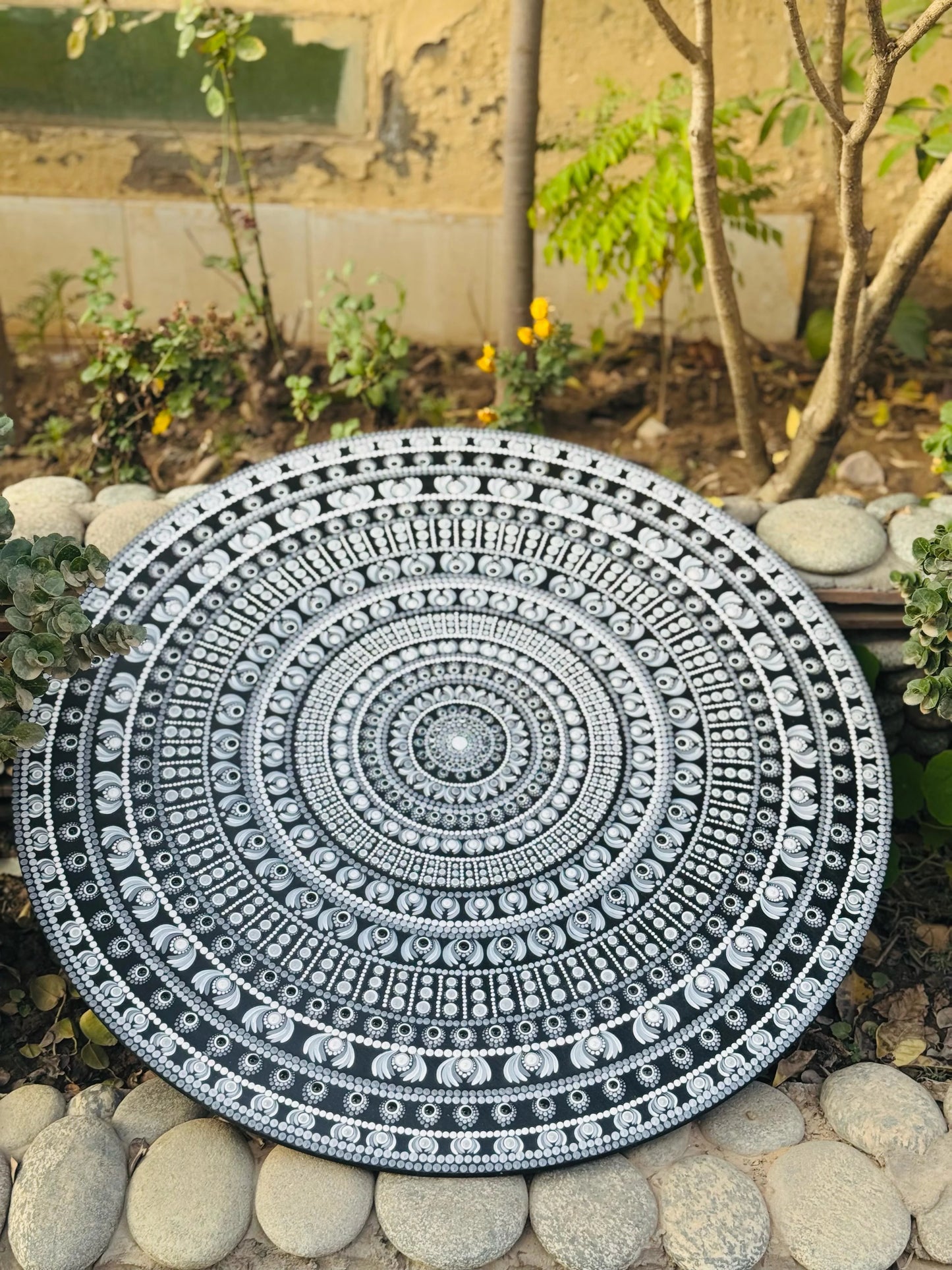 Moon Light Dream 30"